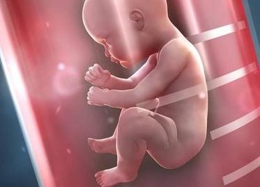 景洪市生孩子做染色体检查有必要吗，筛查一次大概需要多少钱？