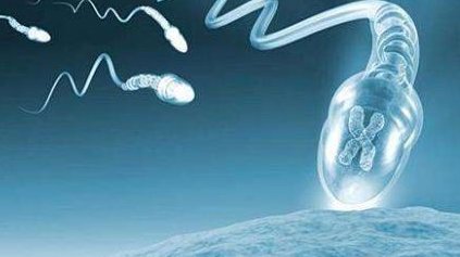 试管婴儿武汉杭州广州（试管婴儿费用大约多少）