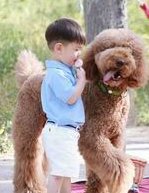 不孕不育在太原市做试管的费用有多少？一文告诉你做三代试管建档的流程有哪些