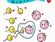 一文带你了解泰国试管最新报价！