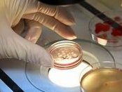 青海红十字医院做三代试管成功率如何？一文读懂需要花多少钱