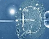 第三代试管周期要多长时间？