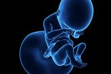 第三代试管婴儿费用大揭秘：预计2026年所需费用概览