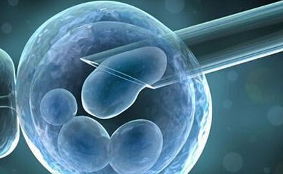 沈阳正规试管婴儿医院成功率排名 沈阳三代试管费用明细