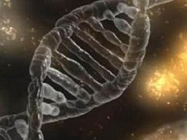 染色体易位在东莞市松山湖中心医院可以做三代试管吗？染色体平衡易位还能生健康的宝宝吗？